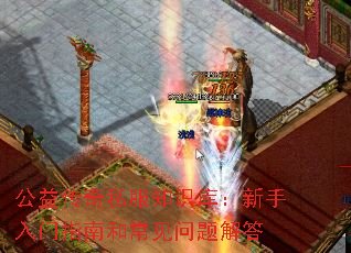 ���洫��˽��֪ʶ�⣺��������ָ�Ϻͳ���������