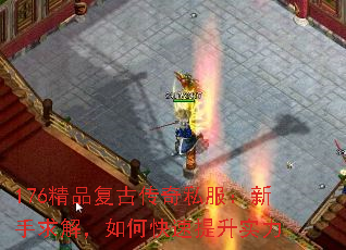 176精品复古传奇私服:新手求解,如何快速提升实力 176精品复古传奇私服:新手求解,如何快速提升实力