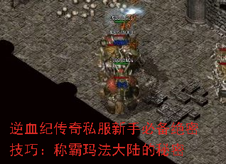 ��Ѫ�ʹ���˽�����ֱر����ܼ��ɣ��ư��귨��½������