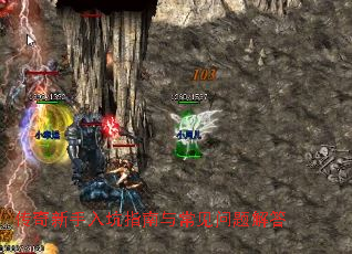 �����������ָ���볣��������