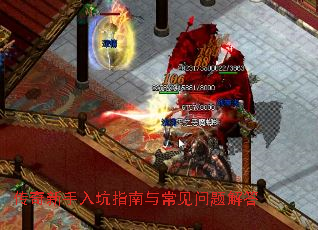 �����������ָ���볣��������