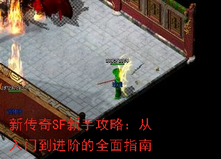新传奇SF新手攻略:从入门到进阶的全面指南 新传奇SF新手攻略:从入门到进阶的全面指南