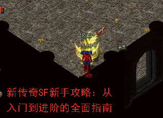 新传奇SF新手攻略:从入门到进阶的全面指南 新传奇SF新手攻略:从入门到进阶的全面指南