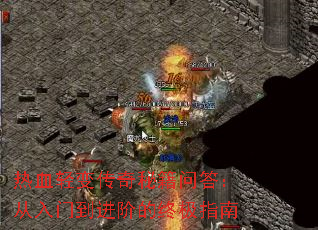 ��Ѫ��䴫���ؼ��ʴ𣺴����ŵ����׵��ռ�ָ��