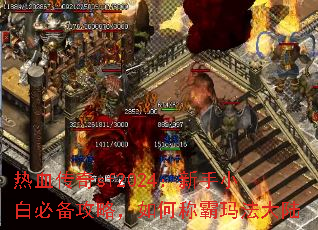 ��Ѫ����sf2024������С�ױر����ԣ���γư��귨��½