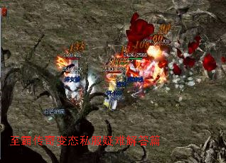 ���Դ����̬˽�����ѽ��ƪ