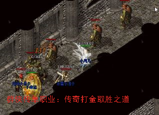 Ⱥ������ְҵ��������ȡʤ֮��