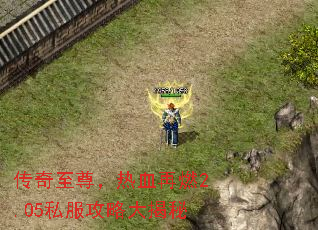 ����������Ѫ��ȼ2.05˽�����Դ����