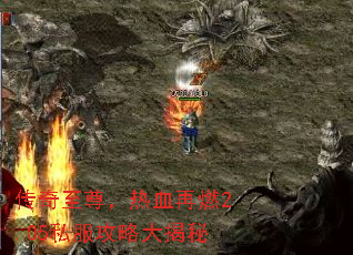 ����������Ѫ��ȼ2.05˽�����Դ����