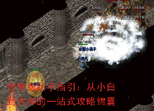 传奇服新手指引:从小白到大神的一站式攻略锦囊 传奇服新手指引:从小白到大神的一站式攻略锦囊