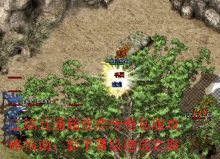 ���˻�ͨ����̬����˽������ָ�ϣ����ֽ����ٳ�֮·