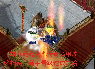 ���˻�ͨ����̬����˽������ָ�ϣ����ֽ����ٳ�֮·