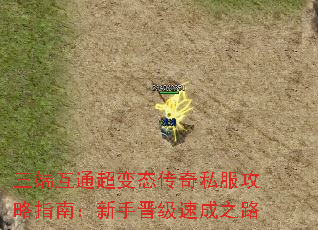 ���˻�ͨ����̬����˽������ָ�ϣ����ֽ����ٳ�֮·