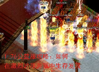 1.76��������ԣ�����ڼ��ҵķ����������淢չ