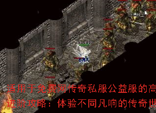 ���������������˽��������ĸ��ֽ��׹��ԣ����鲻ͬ����Ĵ�������