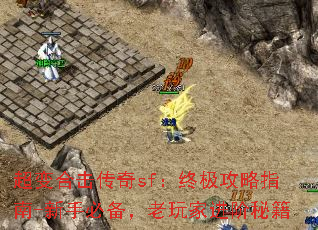 ����ϻ�����sf���ռ�����ָ��-���ֱر�������ҽ����ؼ�