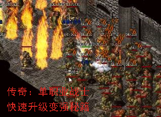 ���棺��ְҵսʿ����������ǿ�ؼ�