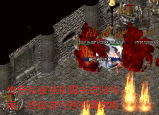 ����˽���һ���������ָ�ϣ��ռ����а��ưԹ���