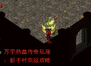 ������Ѫ����˽�������ִ�߼�����