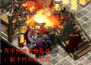 ������Ѫ����˽�������ִ�߼�����