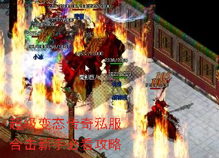 ������̬����˽���ϻ����ֱؿ�����