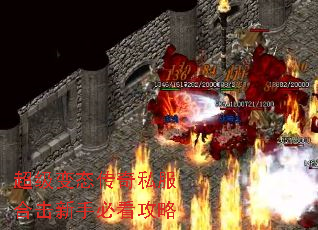 ������̬����˽���ϻ����ֱؿ�����