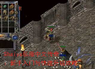 Shaiya˽�����Ĵ��棺���������������������