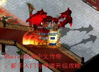 Shaiya˽�����Ĵ��棺���������������������