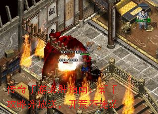 �������α�ʤָ�ϣ����ֹ�������ͣ����Ĳ���ã