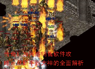 ����1.76���������������ԣ������ֵ������ȫ�����