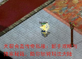 ���Ѻϻ�����˽�������ֹ���������ؼ�������۳��귨��½