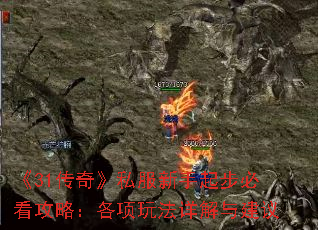 ��31���桷˽�������𲽱ؿ����ԣ������淨����뽨��