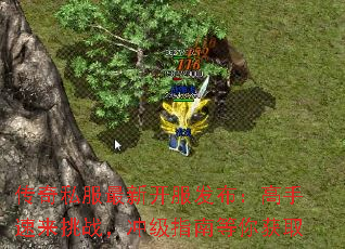 ����˽�����¿�������������������ս���弶ָ�ϵ����ȡ