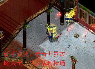 新手必读:传奇世界攻略大全,从入门到精通 新手必读:传奇世界攻略大全,从入门到精通