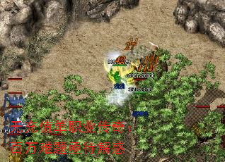 �޳�ֵ��ְҵ���棺��������ؽ�����