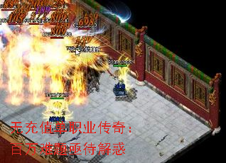 �޳�ֵ��ְҵ���棺��������ؽ�����