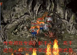 ������Ϸר�ң��������ţ����ֽ��ף��㲻�ò�֪������������