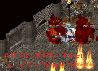 ������Ϸר�ҽ��������ϻ�1.80���������űر�ȫ����