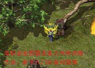 ��ְҵ��ͼ��ҵ���Ŵ��湥�Դ�ȫ���������űر����⼯