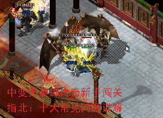 �б���Ӣ�۴������ִ���ָ����ʮ�󳣼��������