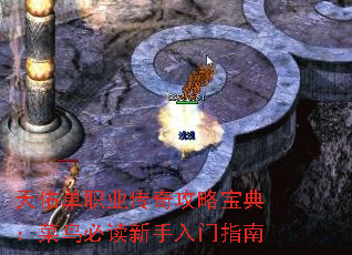 ���ӵ�ְҵ���湥�Ա��䣺����ض���������ָ��