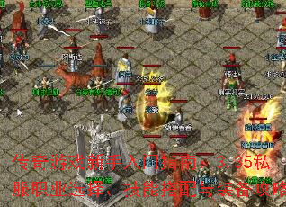 ������Ϸ��������ָ�ϣ�3.35˽��ְҵѡ�񡢼��ܴ�����װ������