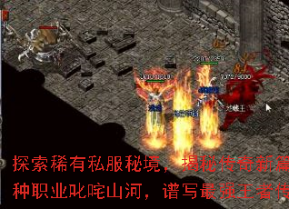 ̽��ϡ��˽���ؾ������ش�����ƪ�£�����ְҵ߳��ɽ�ӣ���д��ǿ���ߴ�˵��