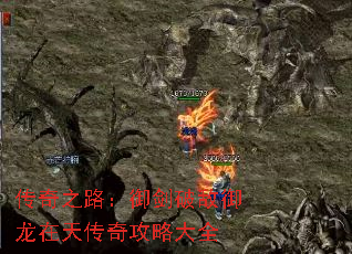 ����֮·�������Ƶ��������촫�湥�Դ�ȫ