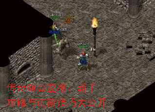 ����GM����������ֹ�������׼��ɴ󹫿�