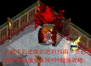 �����ֵ������Ľ���ָ�ϣ���̬˽������˽��������999��ǿ����