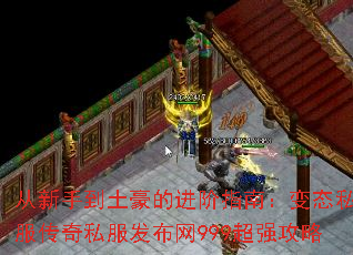 �����ֵ������Ľ���ָ�ϣ���̬˽������˽��������999��ǿ����