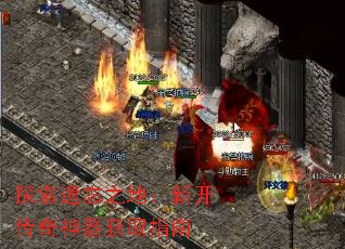 ̽������֮�أ��¿�����������ȡָ��