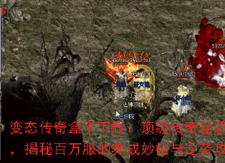 ��̬����������أ����������ؼ����ܣ����ذ������������������Ϯ����