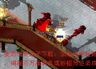 ��̬����������أ����������ؼ����ܣ����ذ������������������Ϯ����